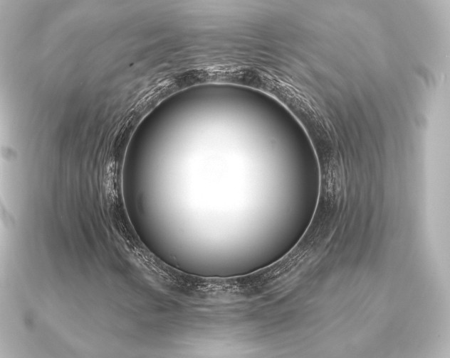 X0000091171346200708091157