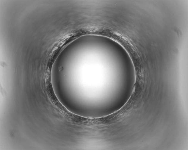 X0000091171349200708091157