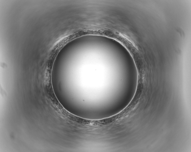 X0000091171350200708091157