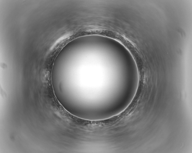 X0000091171351200708091157