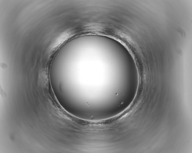 X0000091171354200708091157