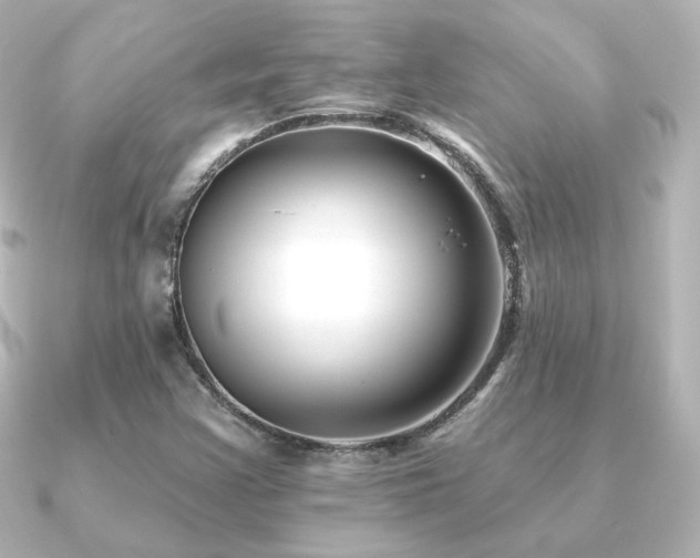 X0000091171355200708091157