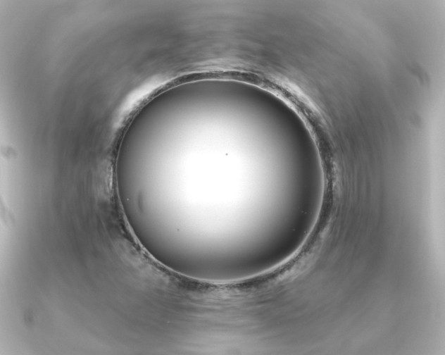 X0000091171358200708091157