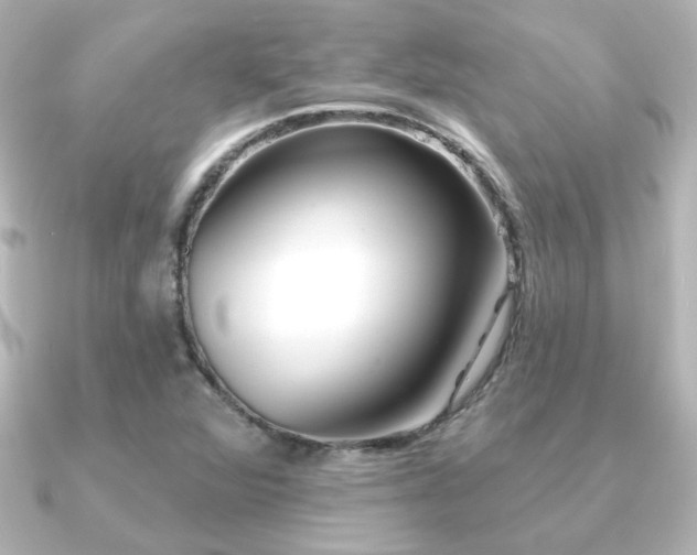 X0000091171360200708091157