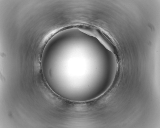 X0000091171363200708091157