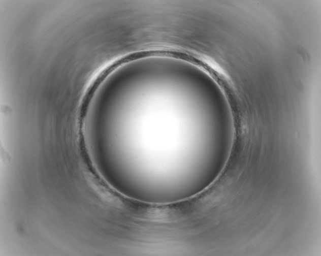 X0000091171364200708091157