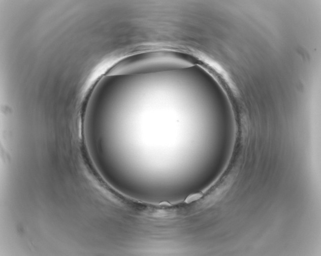 X0000091171365200708091157