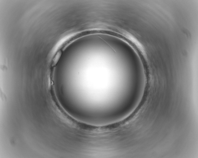 X0000091171368200708091157