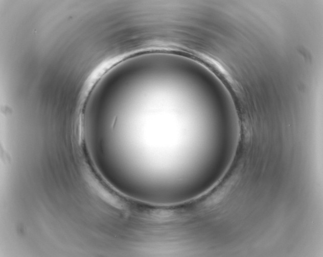 X0000091171371200708091157