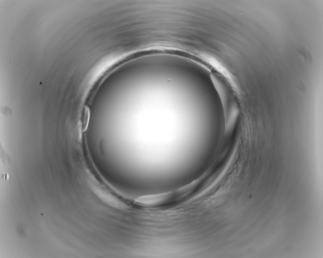 X0000091171372200708091157