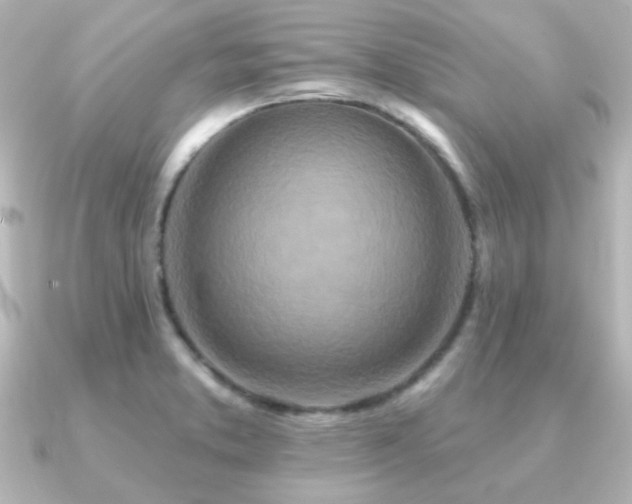 X0000091171373200708091157