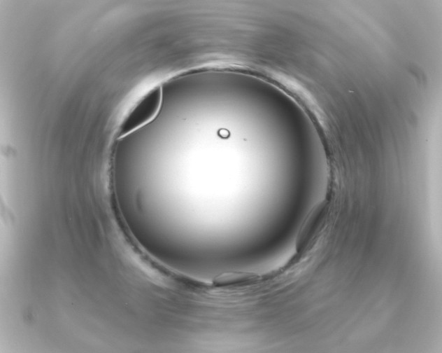 X0000091171375200708091157