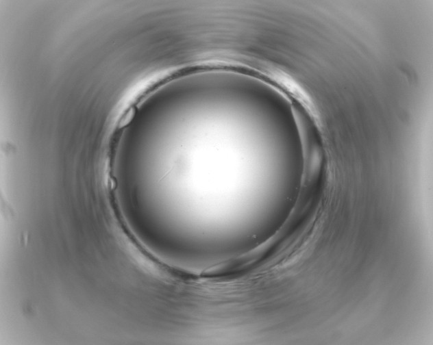 X0000091171376200708091157
