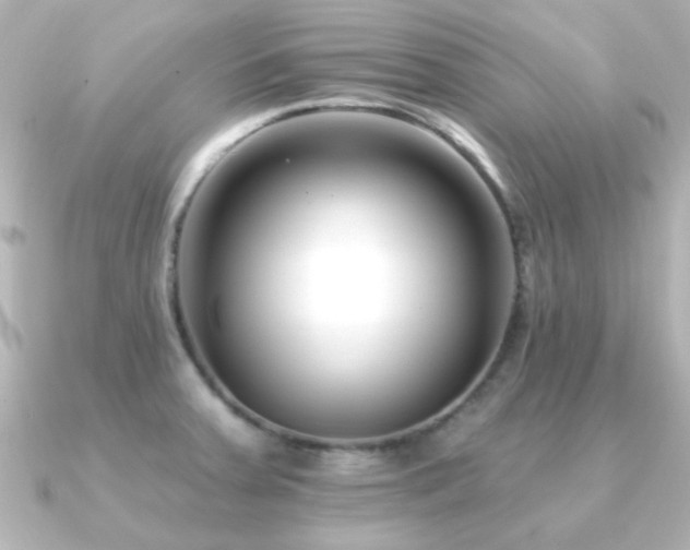 X0000091171379200708091157