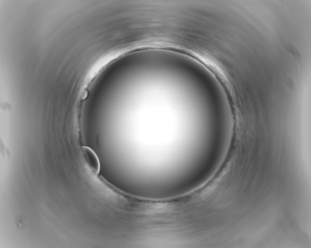 X0000091171382200708091157