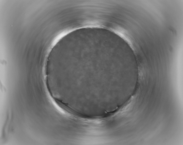 X0000091171383200708091157