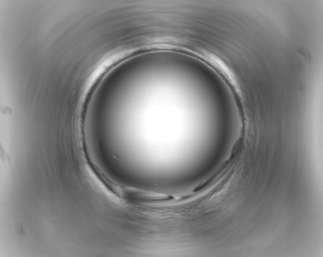 X0000091171384200708091157