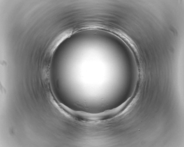 X0000091171385200708091157