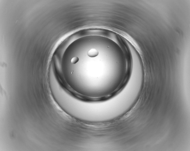 X0000091171388200708091156