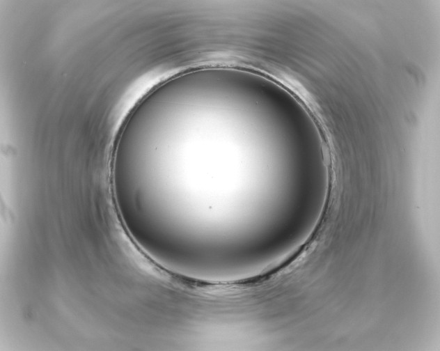 X0000091171392200708091156