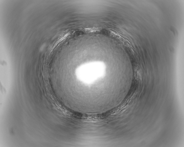 X0000091171393200708091156