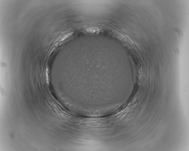 X0000091171394200708091156