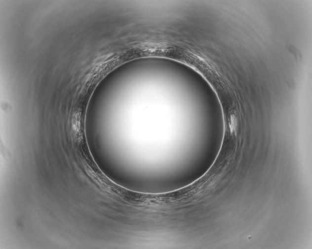 X0000091171396200708091156