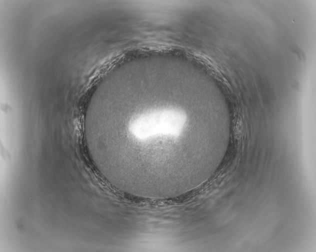 X0000091171397200708091156