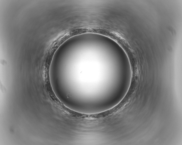 X0000091171398200708091156