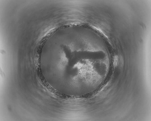 X0000091171399200708091156