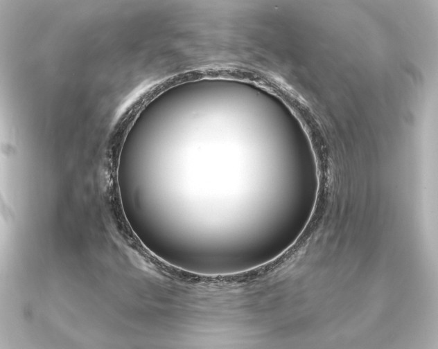 X0000091171400200708091156