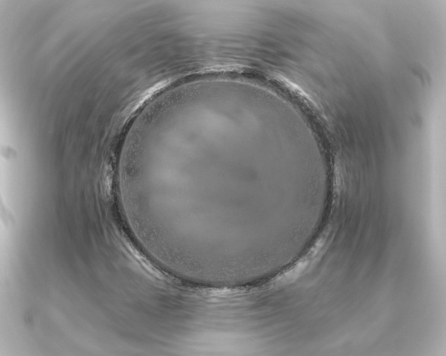 X0000091171401200708091156
