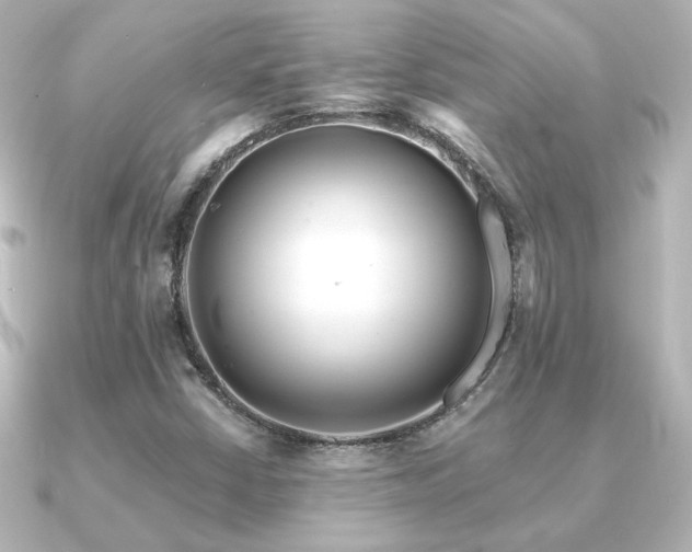 X0000091171402200708091156