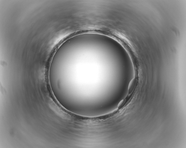 X0000091171404200708091156