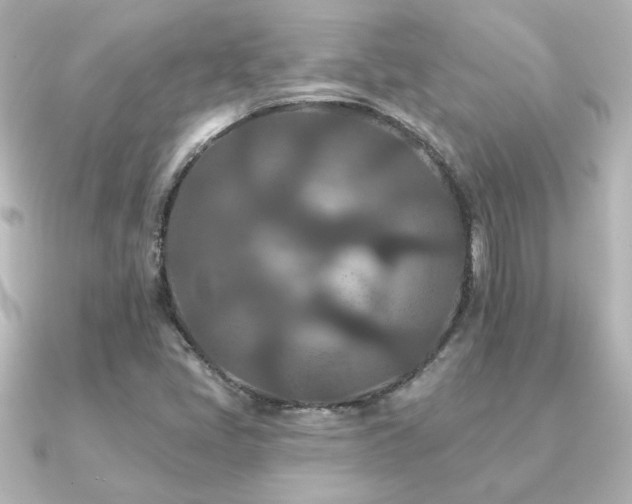 X0000091171405200708091156