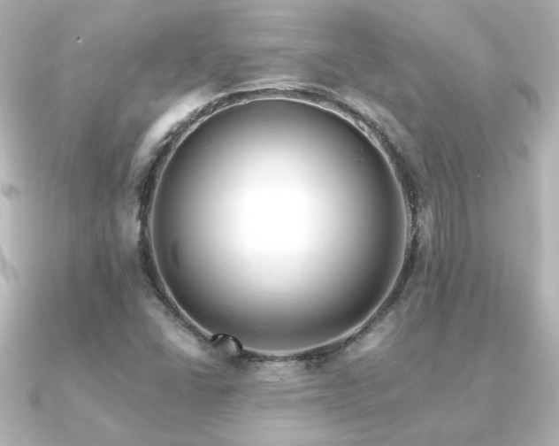 X0000091171406200708091156