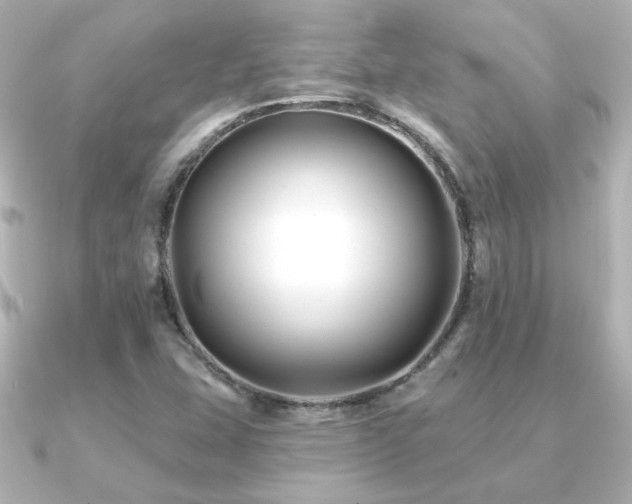 X0000091171407200708091156