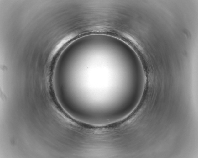 X0000091171410200708091156