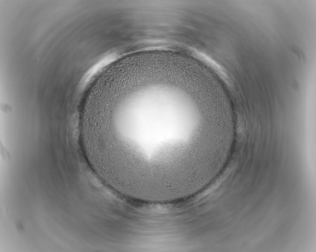 X0000091171411200708091156