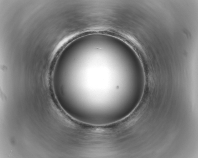 X0000091171412200708091156