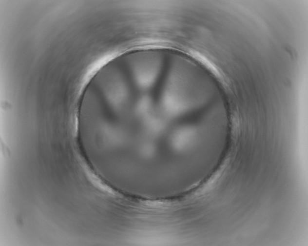 X0000091171413200708091156