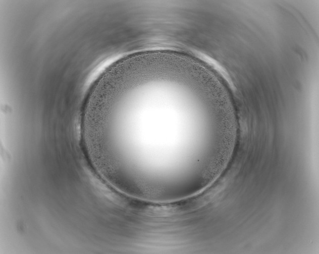 X0000091171415200708091156