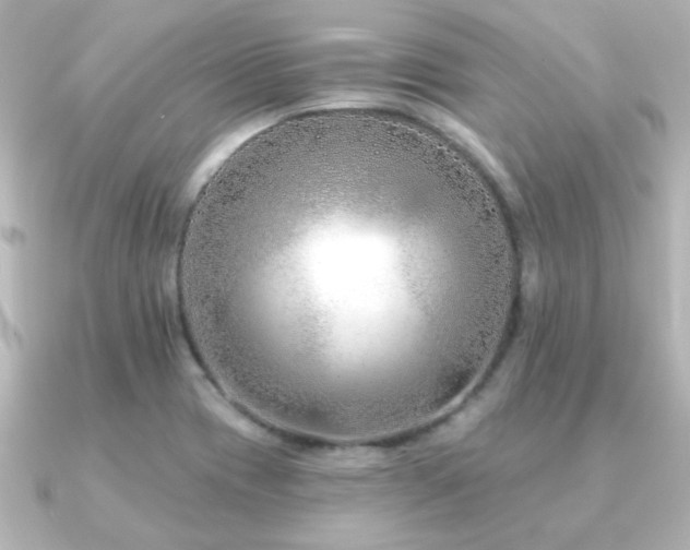 X0000091171417200708091156