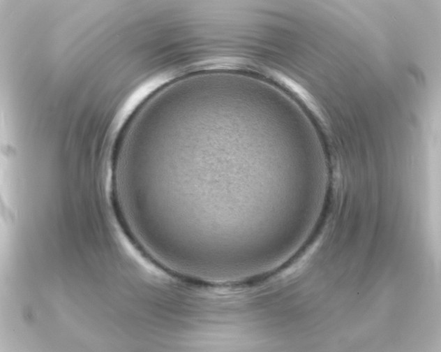 X0000091171418200708091156