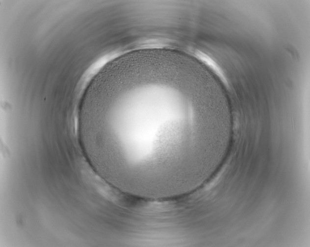 X0000091171419200708091156