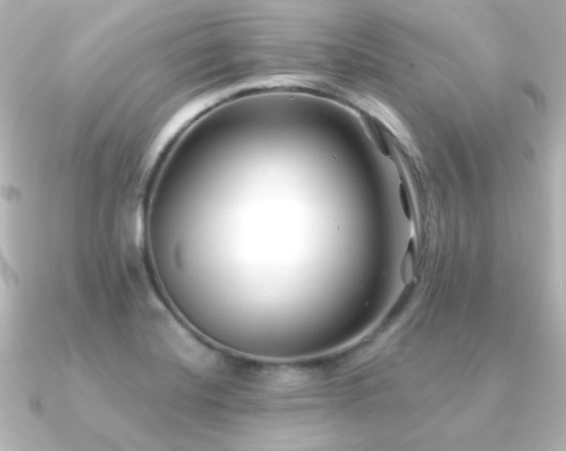 X0000091171420200708091156