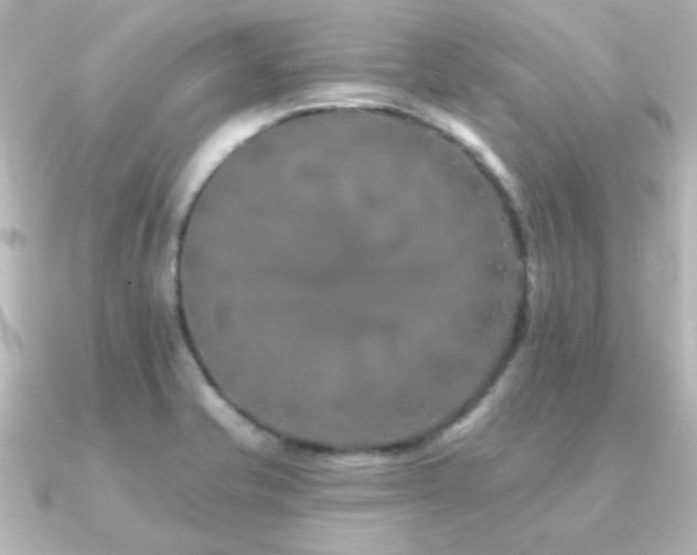 X0000091171421200708091156