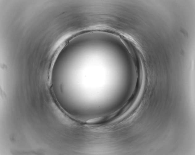 X0000091171422200708091156