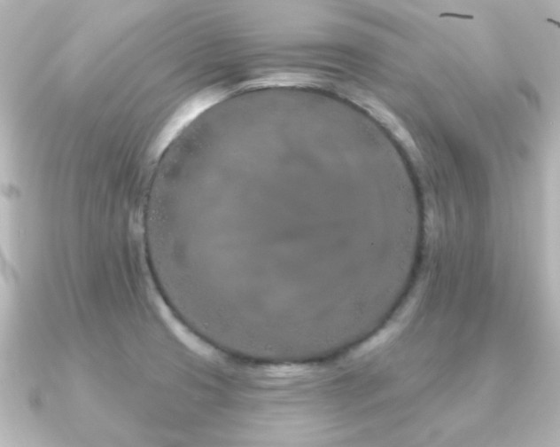 X0000091171425200708091156