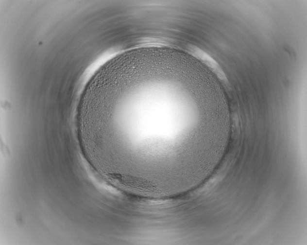 X0000091171427200708091156